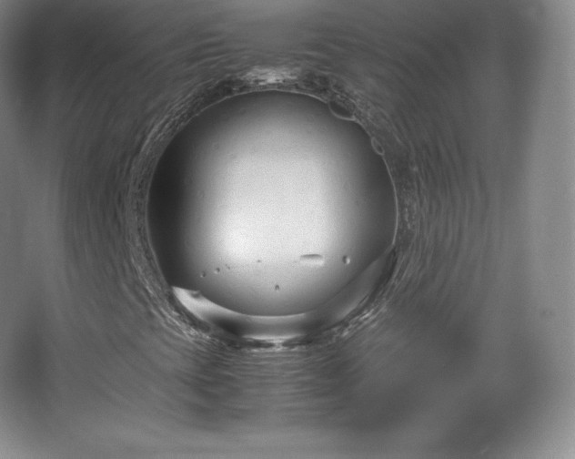 X0000067831393200604171115