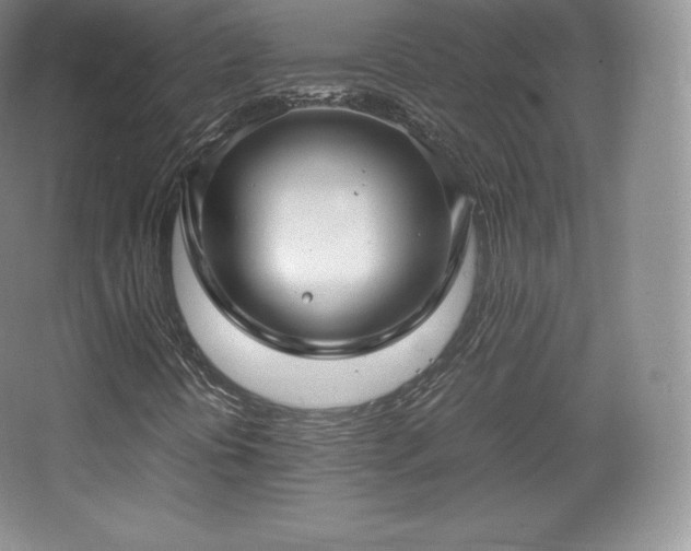 X0000067831394200604171115