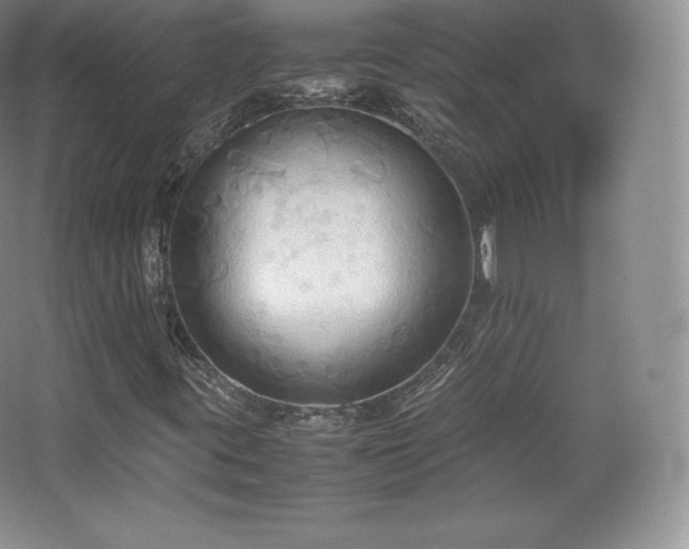 X0000067831395200604171115