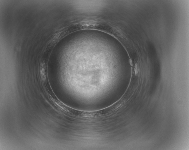 X0000067831396200604171115