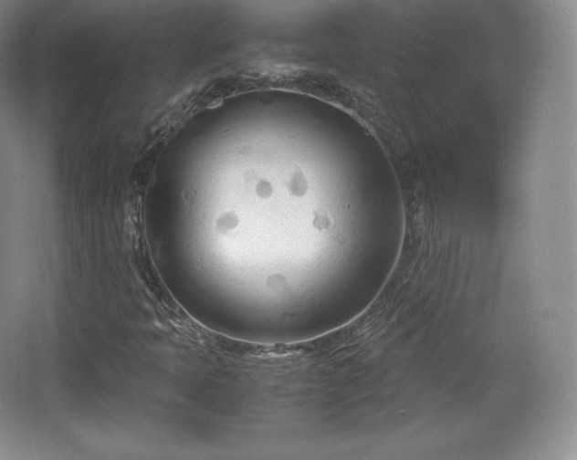 X0000067831397200604171115