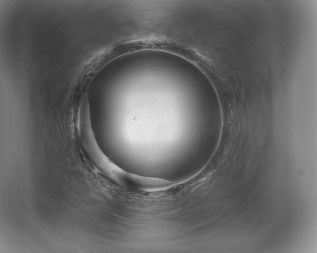 X0000067831398200604171115