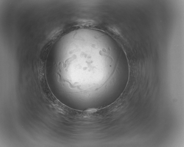 X0000067831399200604171115