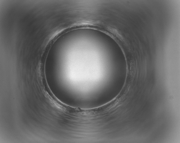 X0000067831404200604171115