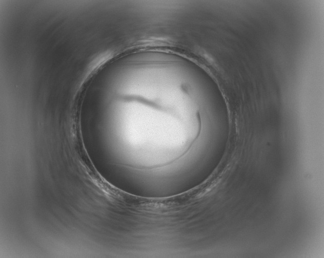 X0000067831405200604171115