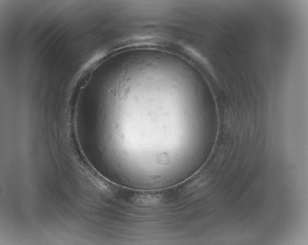 X0000067831411200604171115