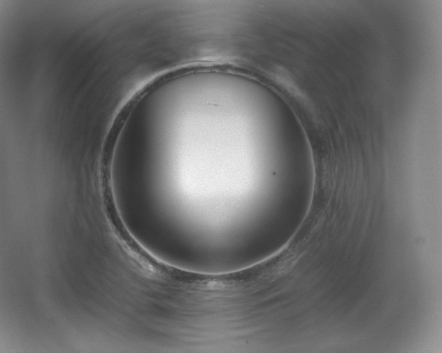 X0000067831412200604171115