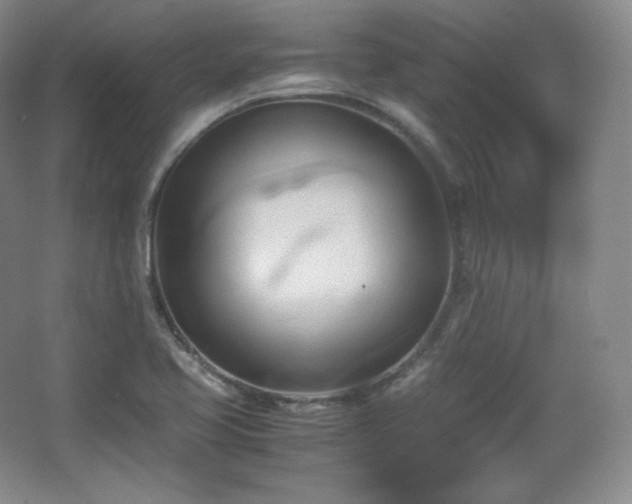 X0000067831413200604171115