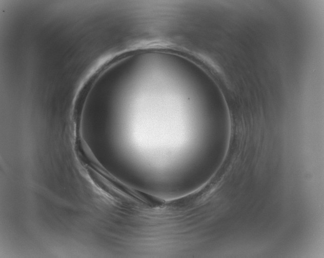 X0000067831414200604171115