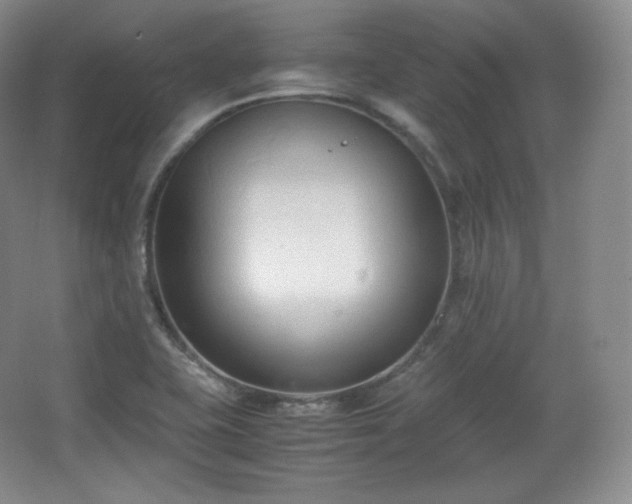 X0000067831415200604171115