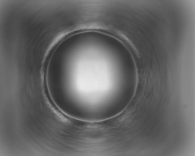 X0000067831416200604171115