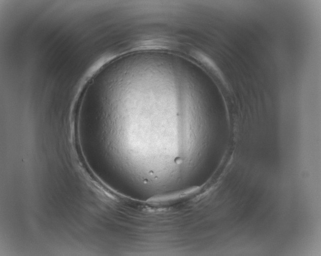 X0000067831419200604171115