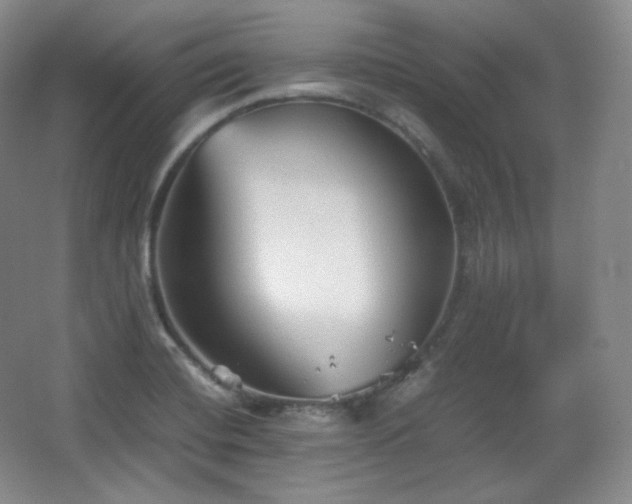 X0000067831420200604171115