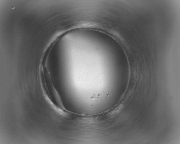 X0000067831422200604171115