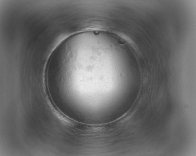 X0000067831423200604171115