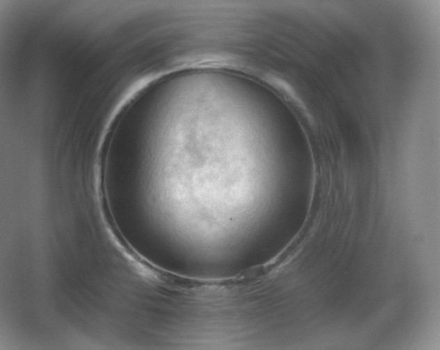 X0000067831424200604171115