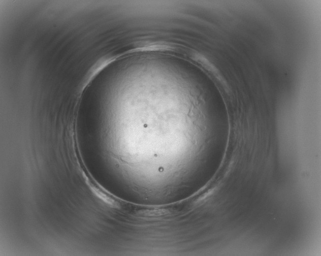 X0000067831425200604171115