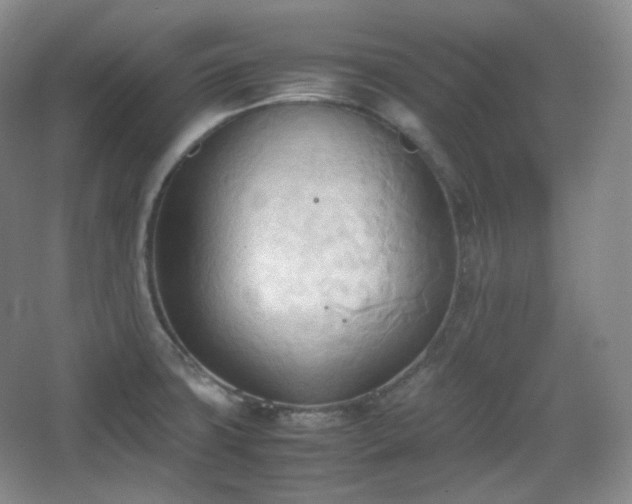 X0000067831427200604171115