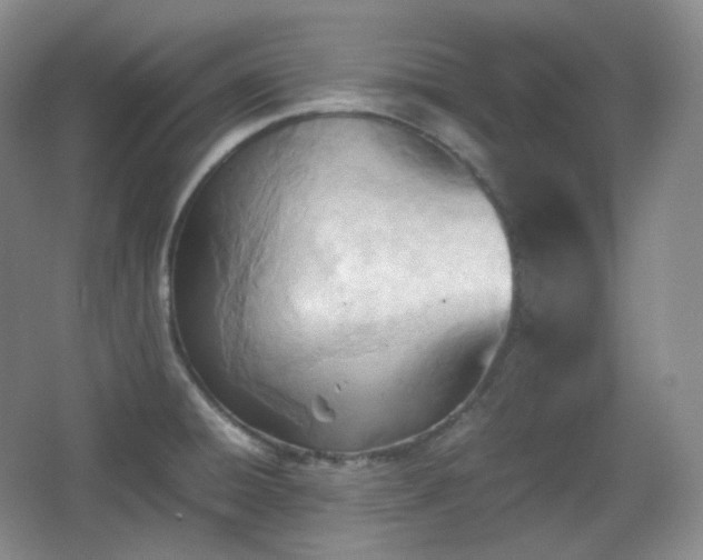 X0000067831428200604171115