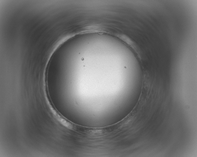 X0000067831431200604171115