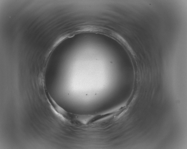 X0000067831433200604171115