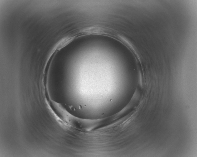 X0000067831434200604171115