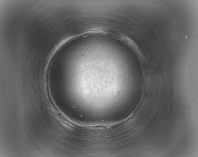 X0000067831435200604171115