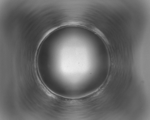 X0000067831436200604171115