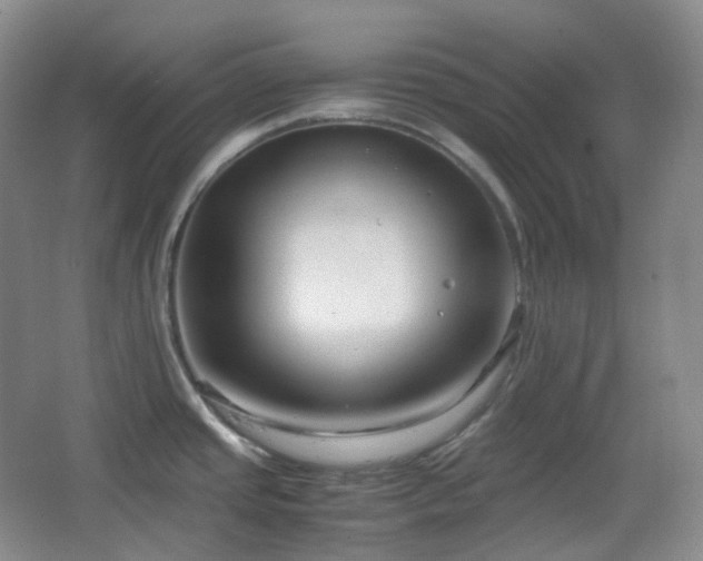 X0000067831437200604171115