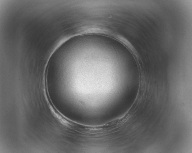 X0000067831439200604171115