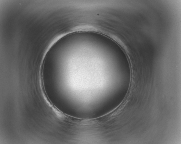 X0000067831440200604171115