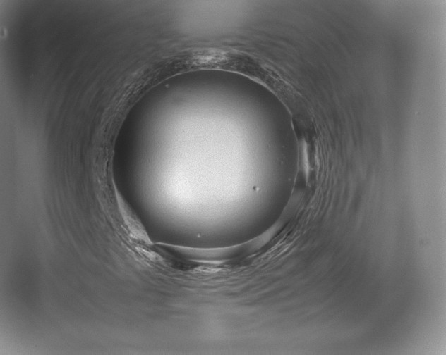 X0000067831441200604171115