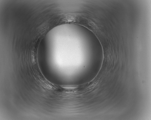 X0000067831442200604171115