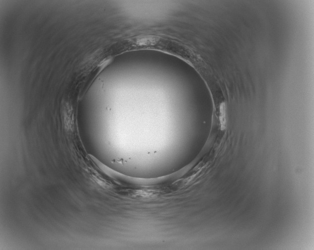 X0000067831443200604171115