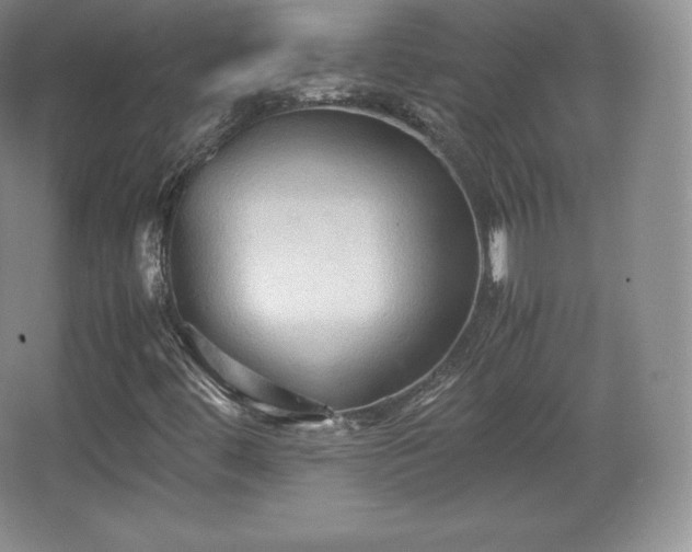 X0000067831444200604171115