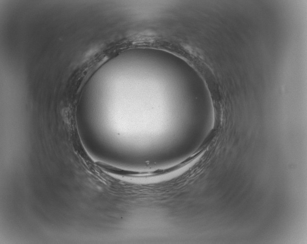 X0000067831445200604171115