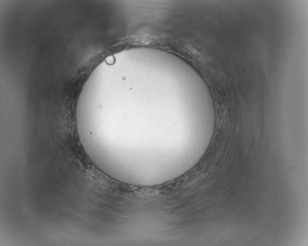 X0000067831446200604171115