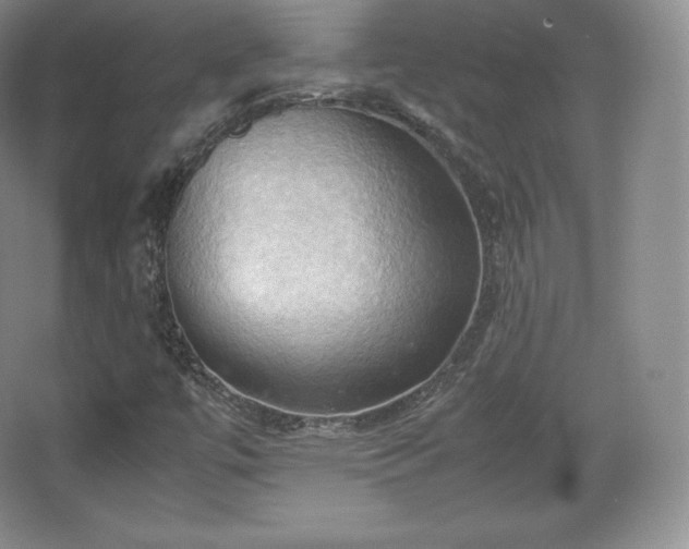 X0000067831447200604171115