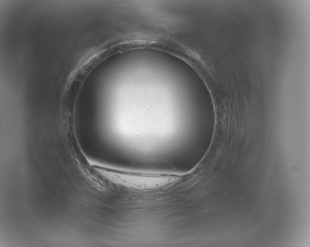 X0000067831448200604171114