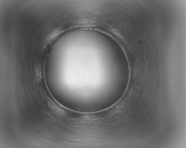 X0000067831451200604171114