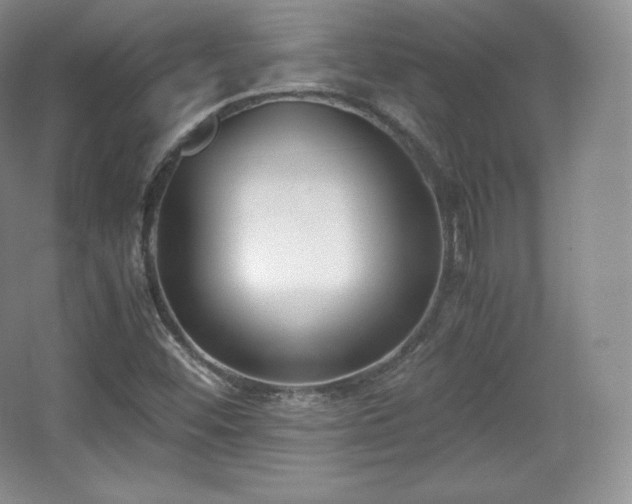 X0000067831452200604171114