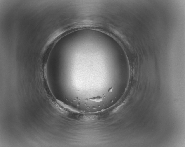 X0000067831453200604171114