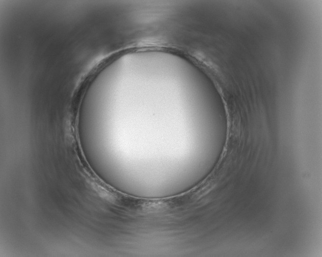 X0000067831454200604171114