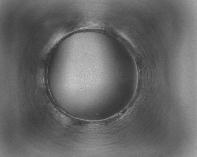 X0000067831455200604171114