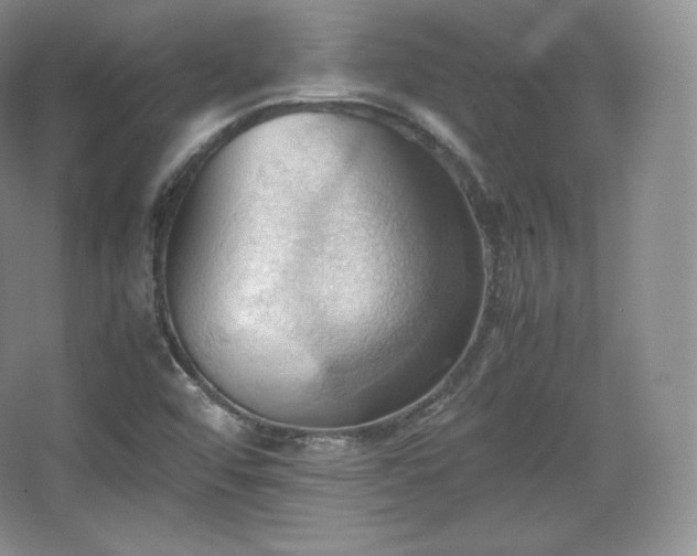 X0000067831456200604171114