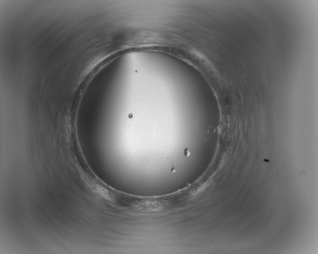 X0000067831457200604171114