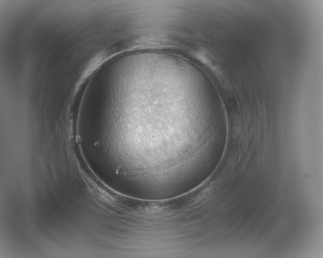 X0000067831459200604171114