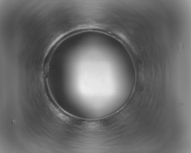 X0000067831460200604171114