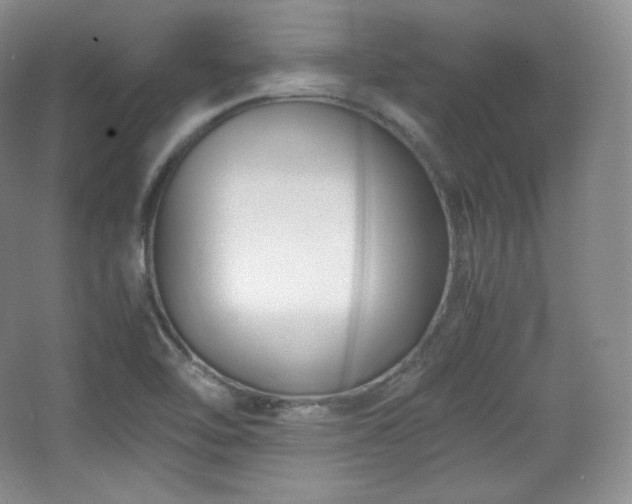 X0000067831462200604171114