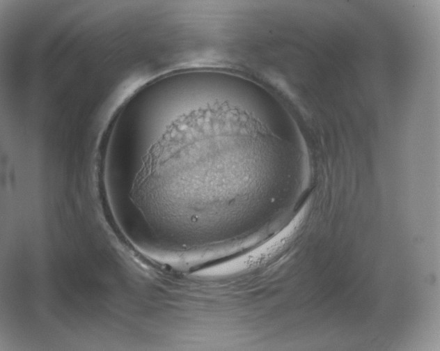 X0000067831463200604171114